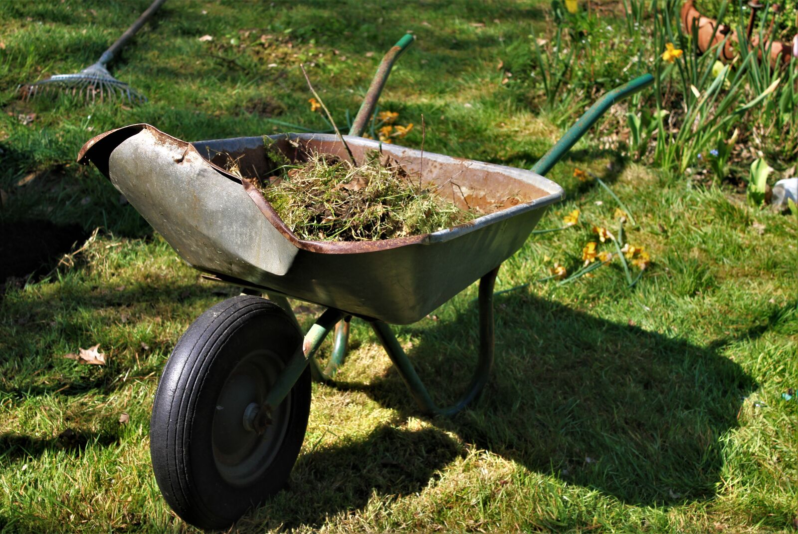 Canon EOS 7D sample photo. Wheelbarrow, old, garden photography