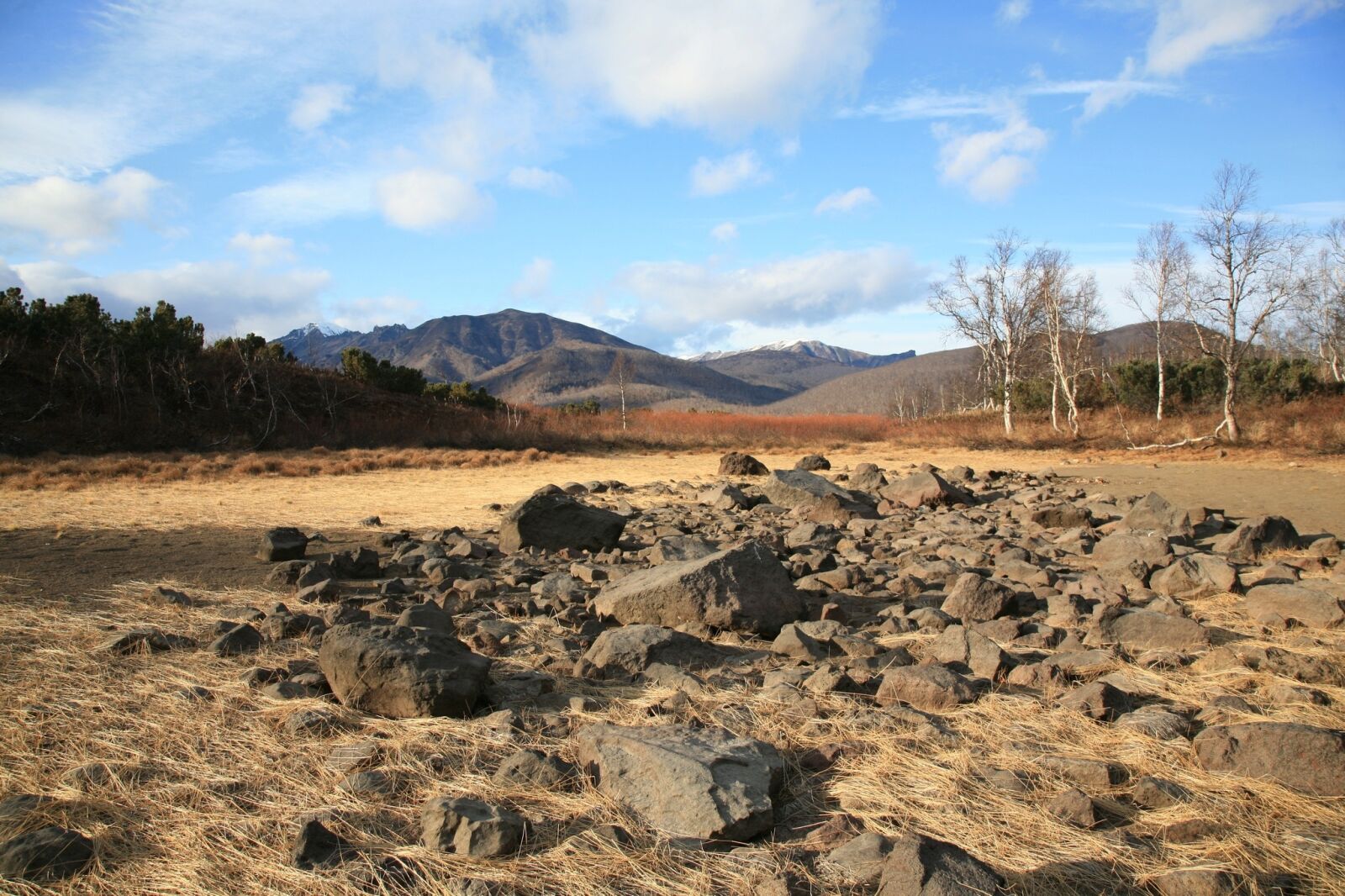 Canon EOS 5D sample photo. Swamp, tundra, grass photography
