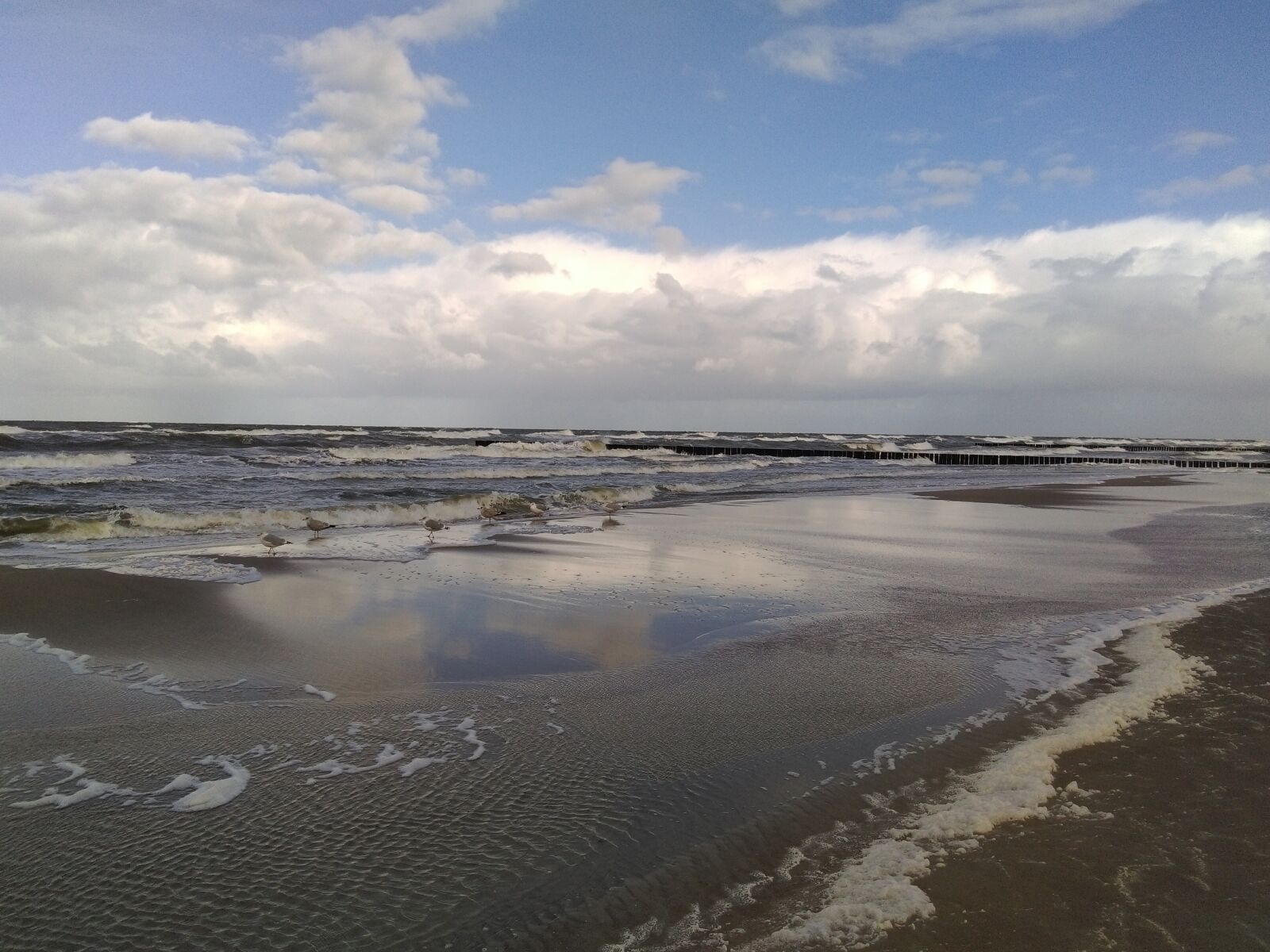 HTC DESIRE 820 sample photo. Sea, the seagulls, sky photography