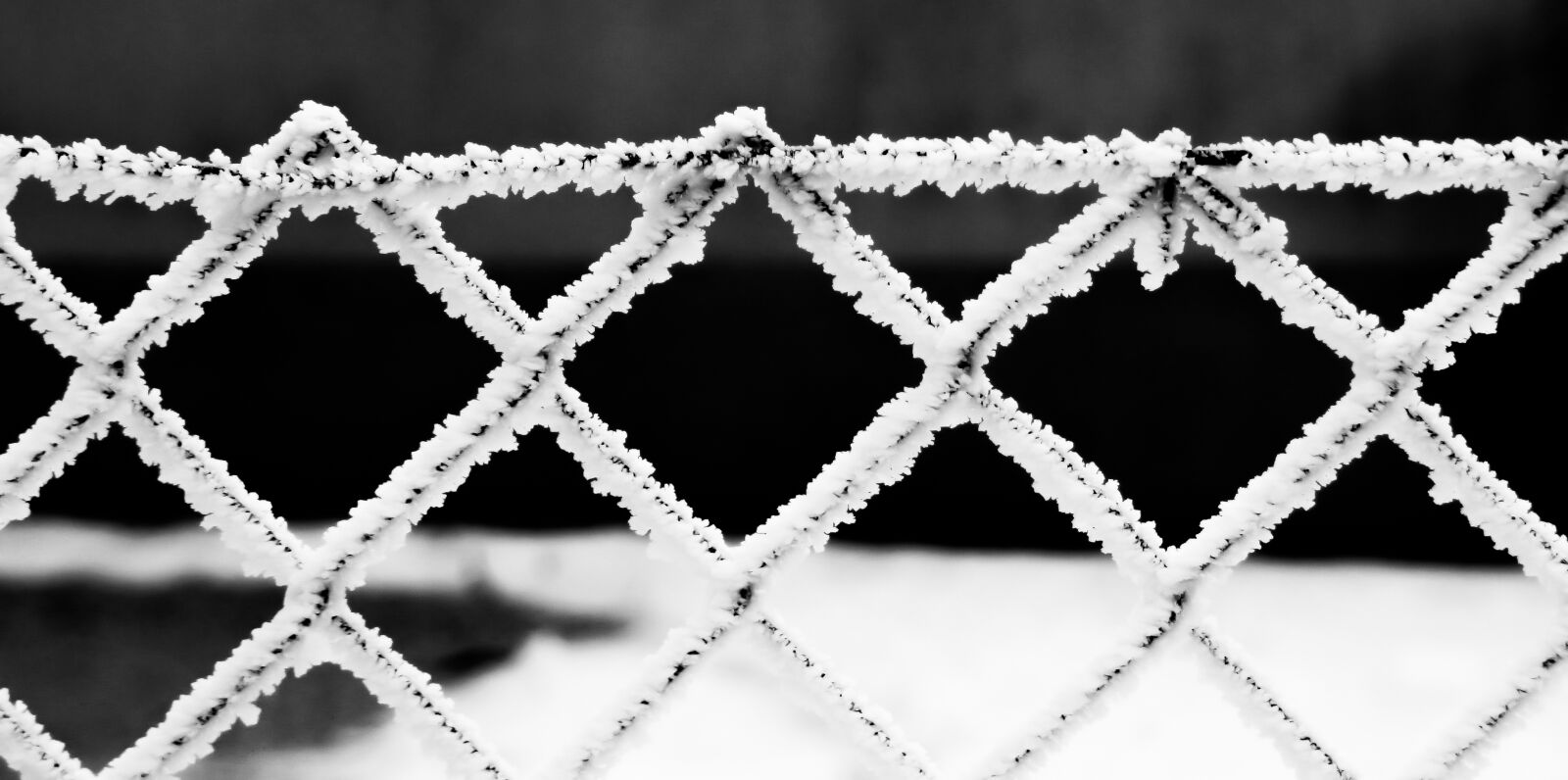 Panasonic DMC-FZ72 sample photo. Winter, fence, snowy photography