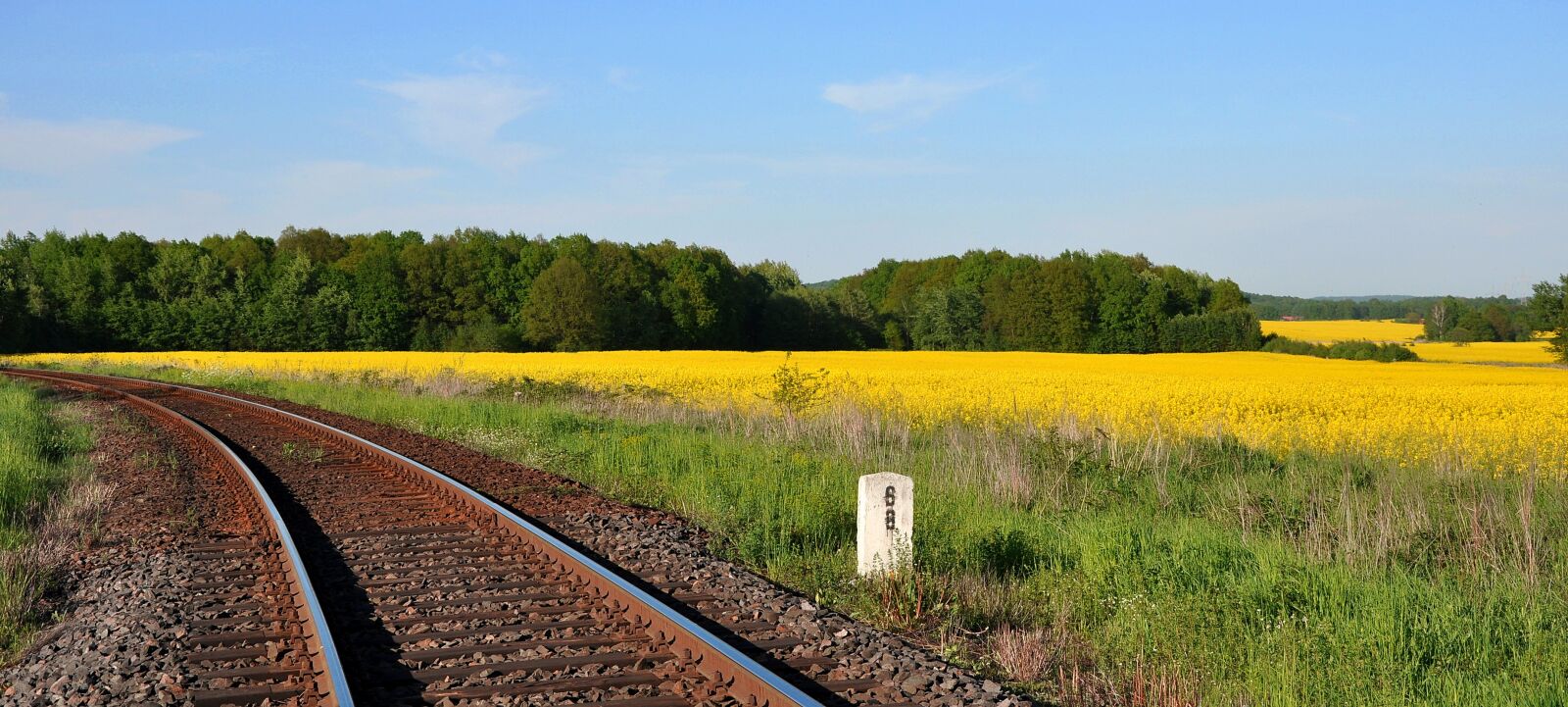 Nikon D90 sample photo. Tracks, railway, rapeseed photography