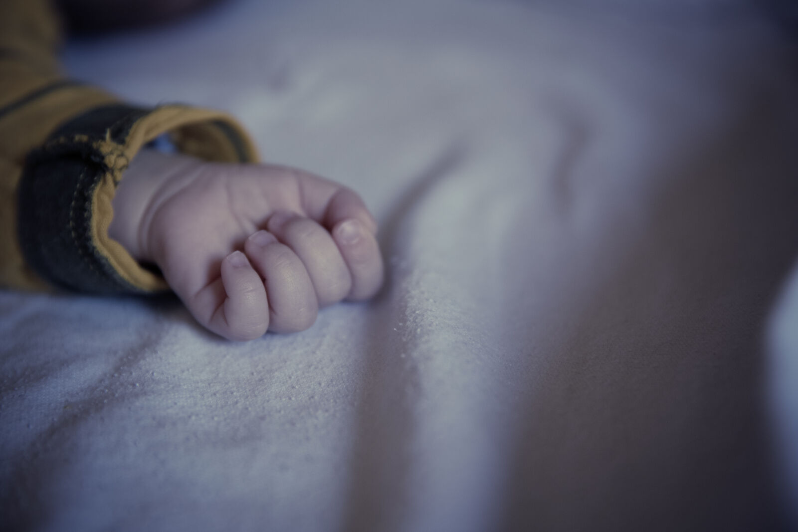 Canon EF 24-70mm F2.8L II USM sample photo. Hand, child, baby, fingers photography