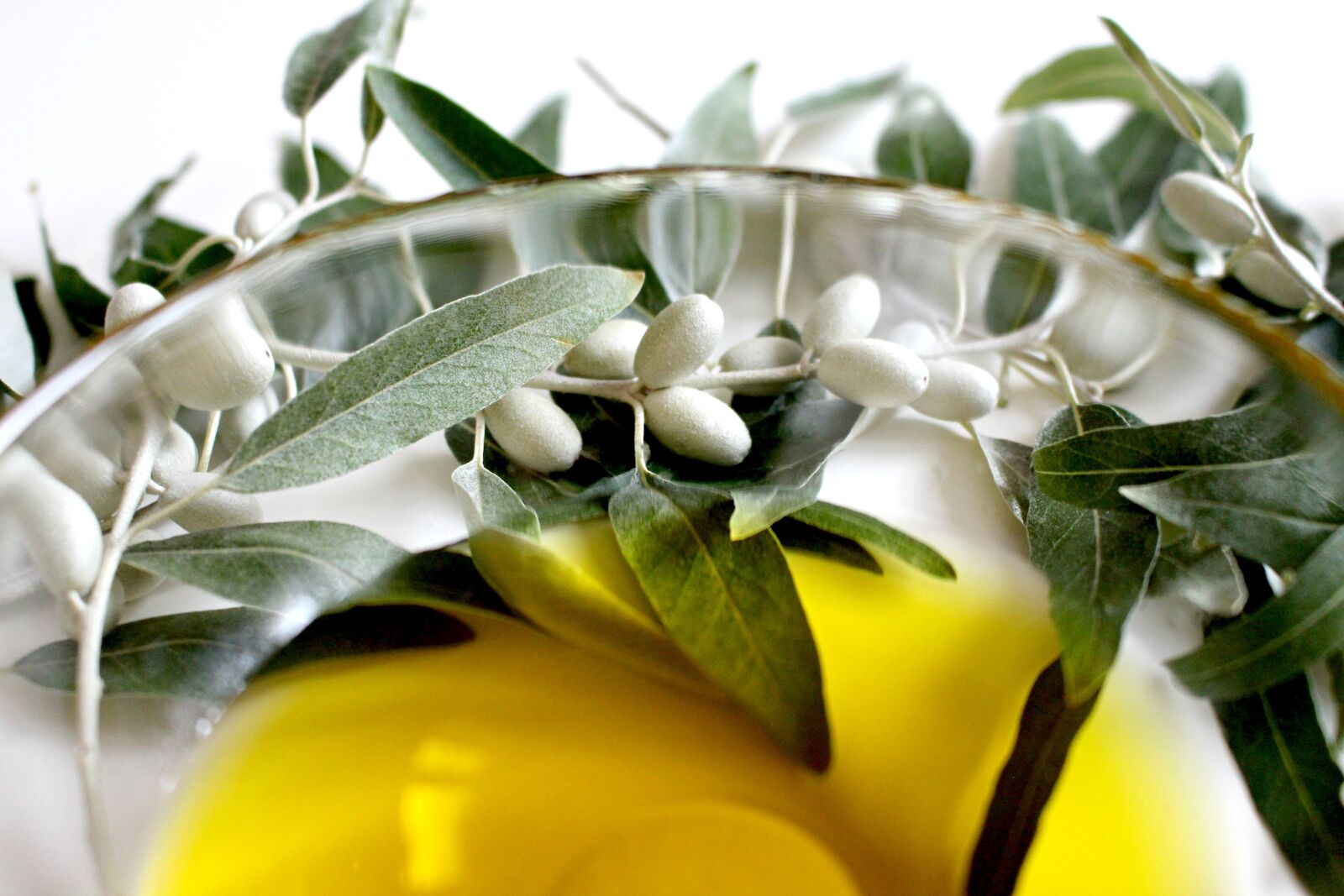 Canon EOS 700D (EOS Rebel T5i / EOS Kiss X7i) sample photo. Olive, olive oil, olive photography