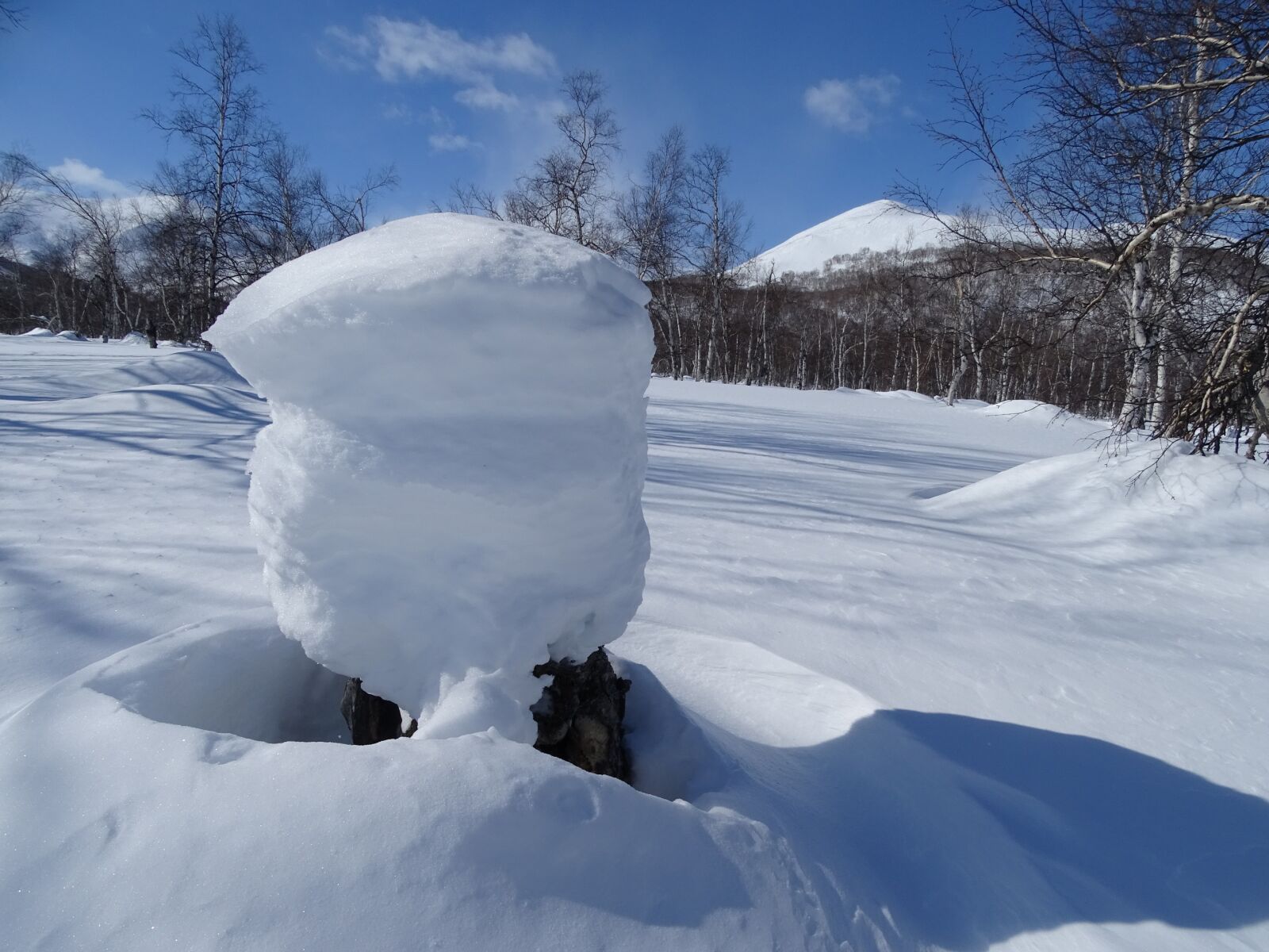 Sony DSC-HX400 sample photo. Forest, mountains, winter photography
