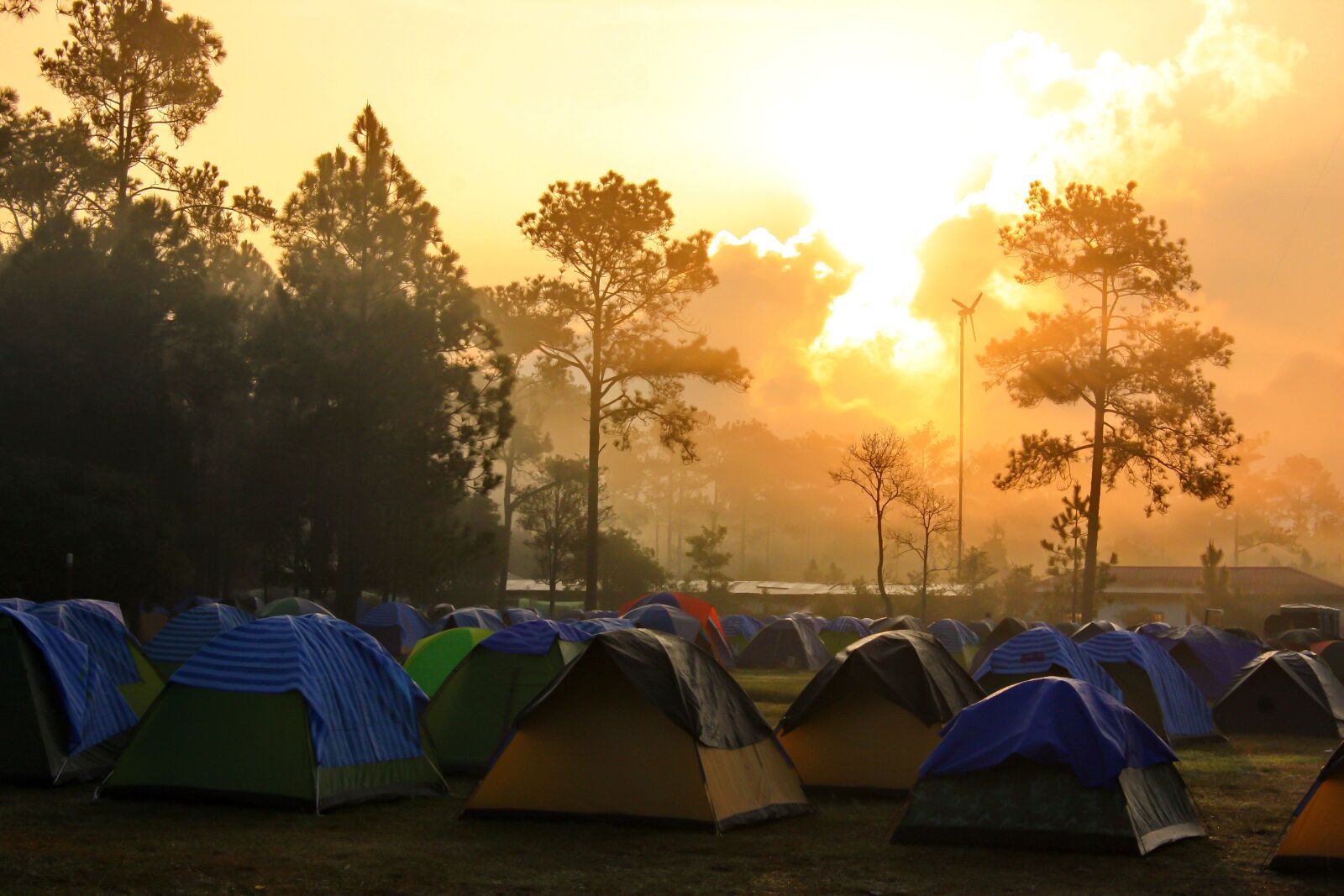 Canon EOS 40D sample photo. Camp, the forest, tent photography