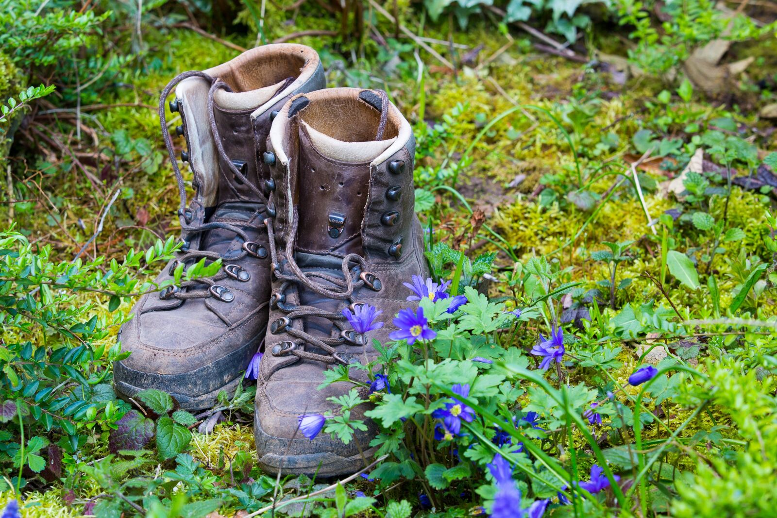 Canon EOS 5D Mark III sample photo. Hiking, nature, hike photography