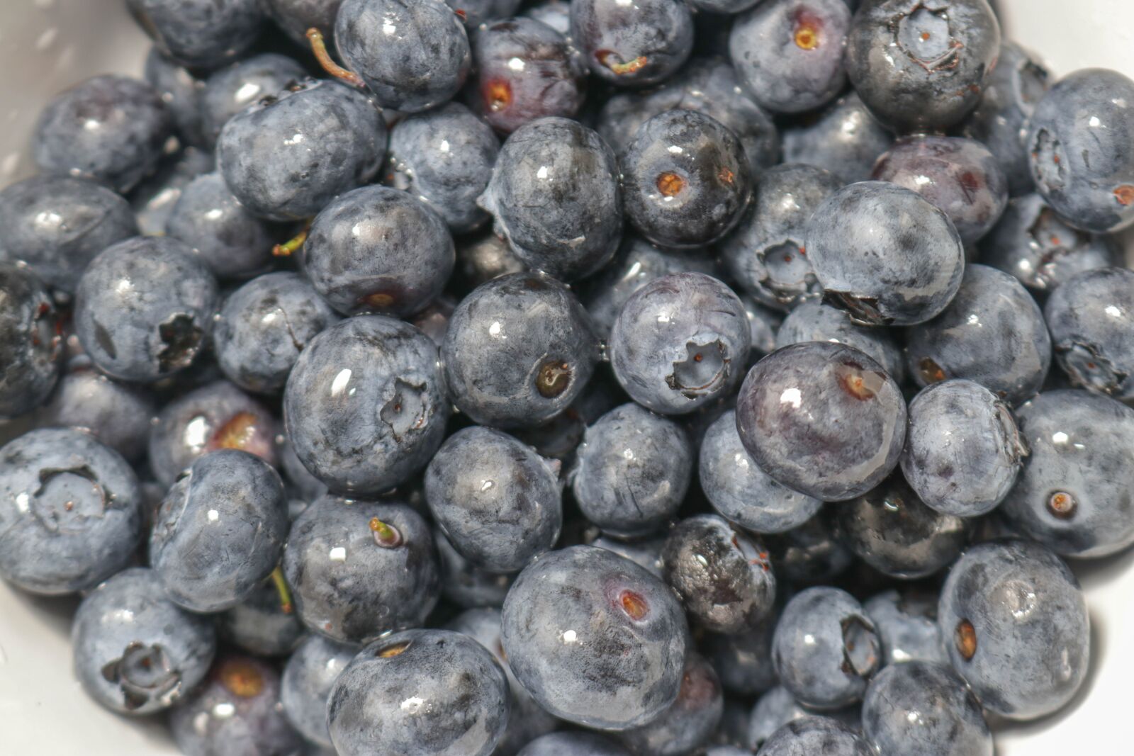 Canon EOS 80D sample photo. Bowl, blueberries, fresh photography