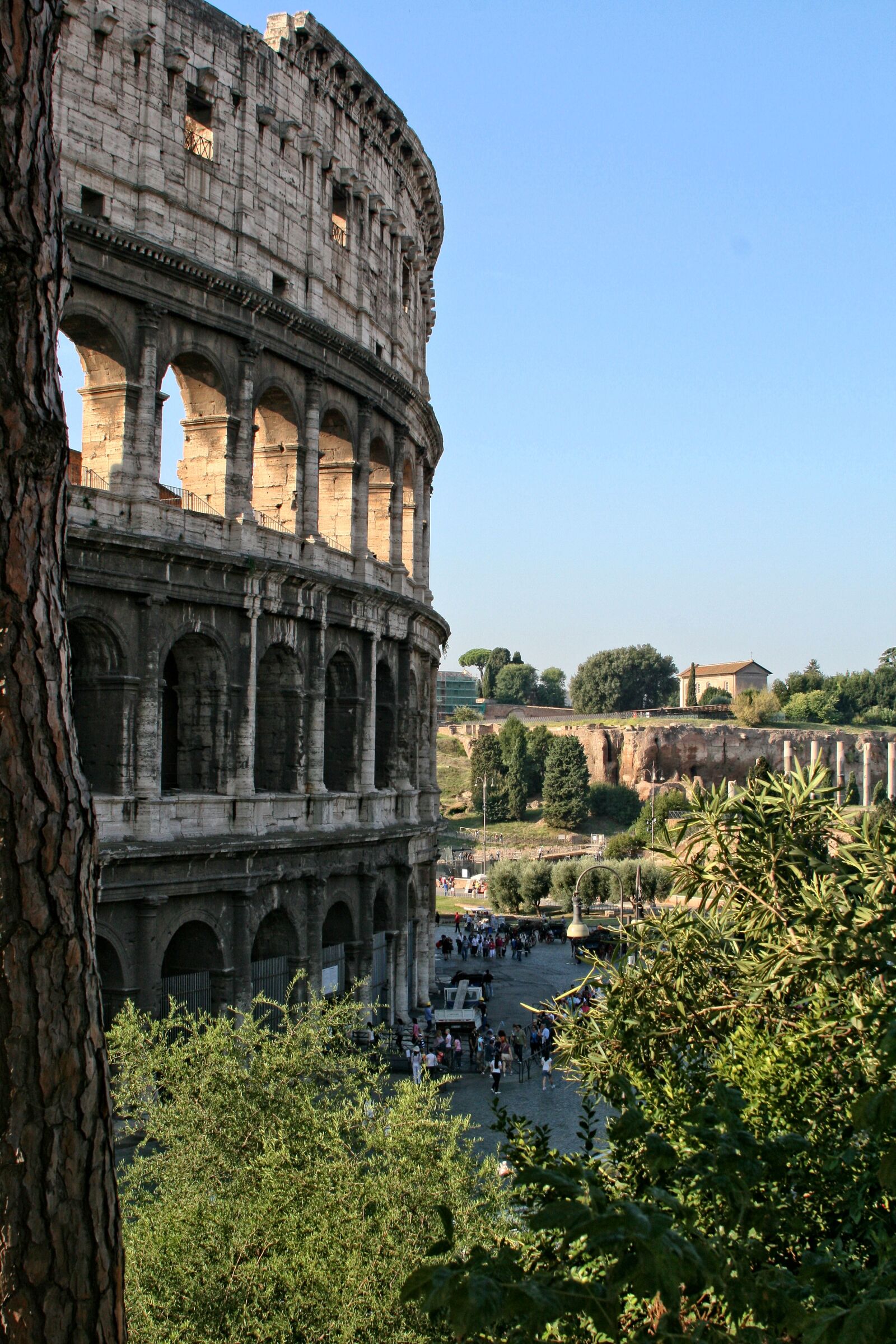 Canon EOS 400D (EOS Digital Rebel XTi / EOS Kiss Digital X) sample photo. Italy, rome, coliseum photography