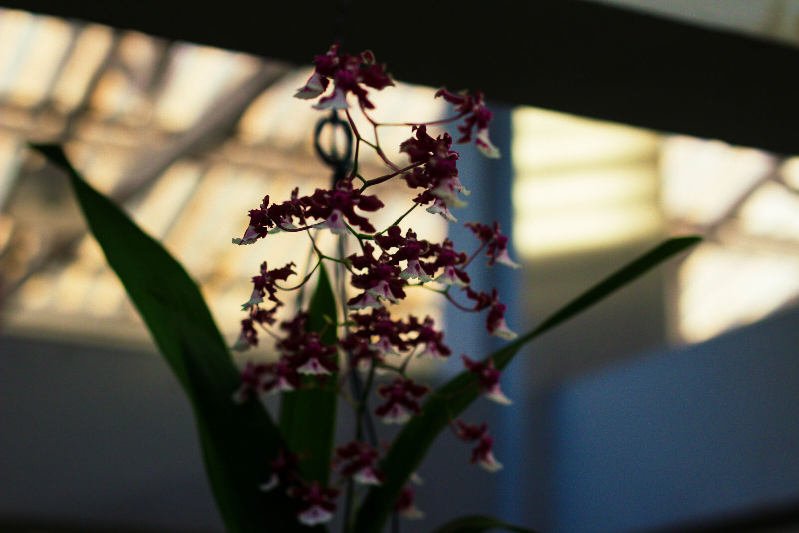 Canon EOS 1200D (EOS Rebel T5 / EOS Kiss X70 / EOS Hi) sample photo
