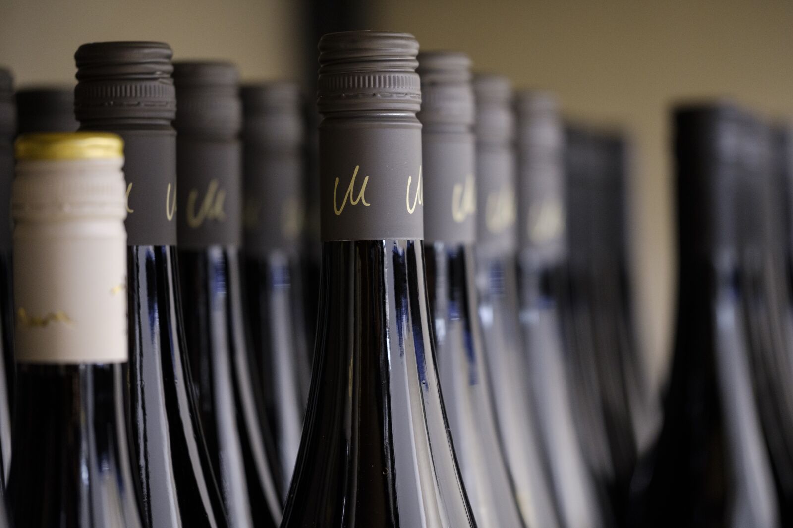 Fujifilm X-T2 + Fujifilm XF 80mm F2.8 R LM OIS WR Macro sample photo. Wine, champagne, wine bottles photography