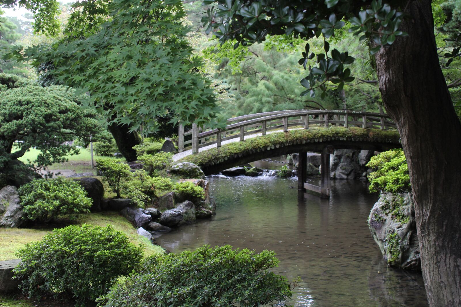 Canon EOS 1300D (EOS Rebel T6 / EOS Kiss X80) sample photo. Japan, zen, garden photography