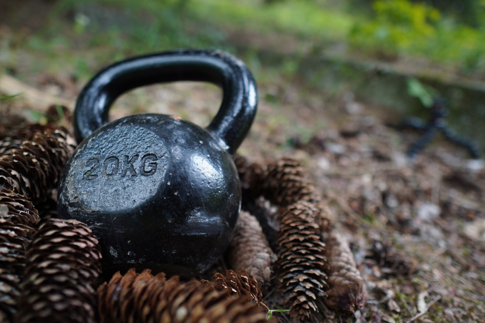 Sony a6400 + Sigma 16mm F1.4 DC DN | C sample photo. Carnivore, kettlebell, trening photography