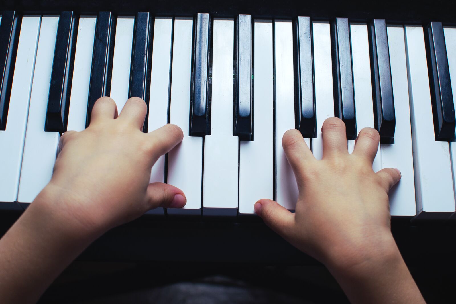 Nikon D3100 sample photo. Piano, key, tool photography