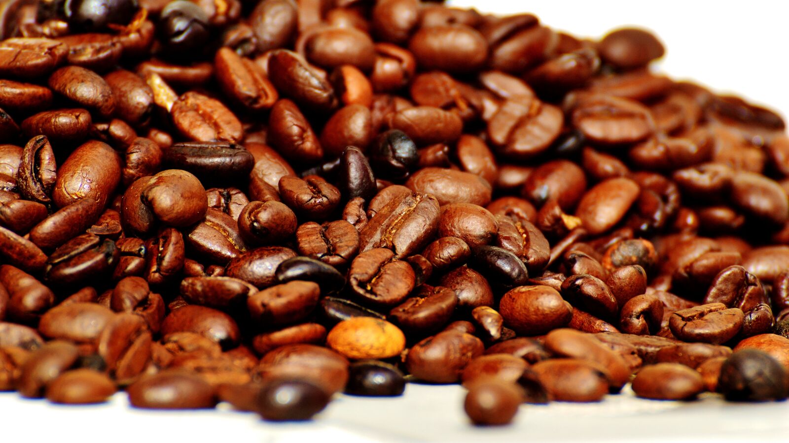 Nikon D3200 sample photo. Coffee beans, coffee, beans photography