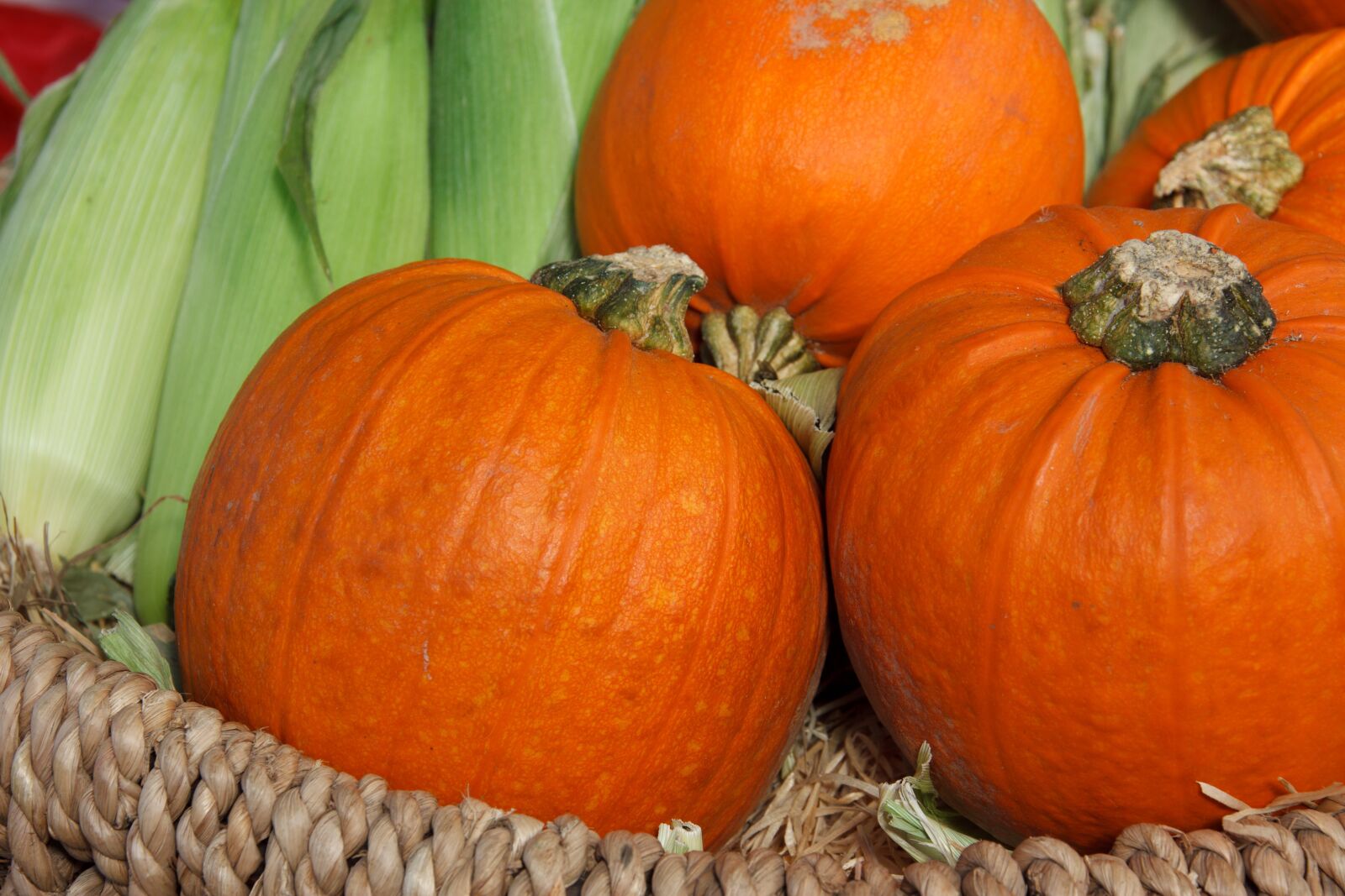 Canon EOS 5D Mark II sample photo. Autumn, basket, colorful, corn photography