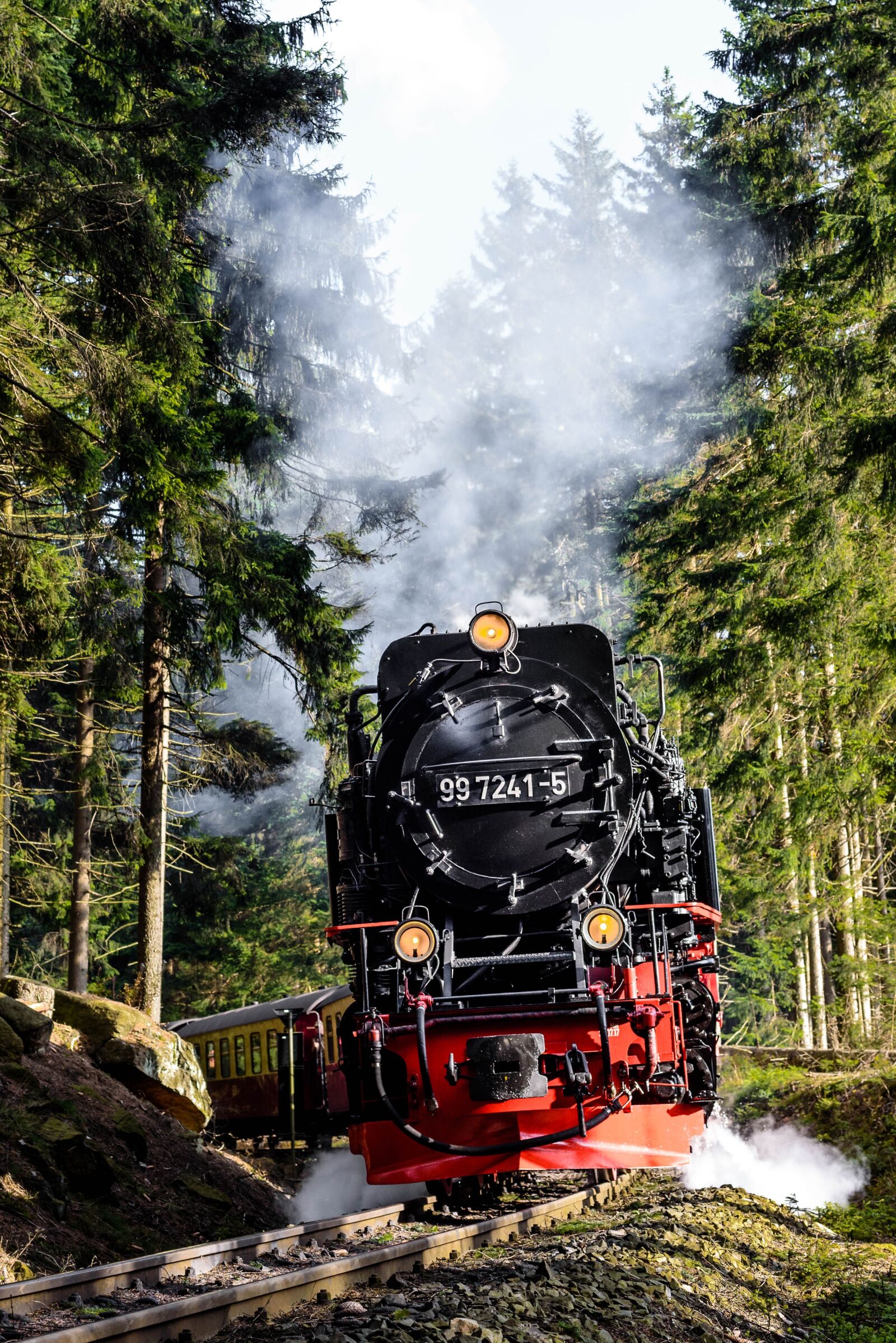 Nikon D750 sample photo. Steam locomotive, schmalspuhr, schmalspuhrbahn photography