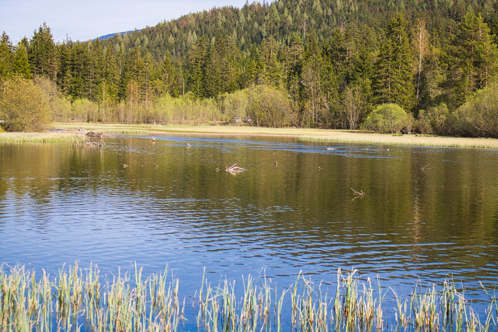 Canon EOS 750D (EOS Rebel T6i / EOS Kiss X8i) sample photo. Lake, trees, water photography