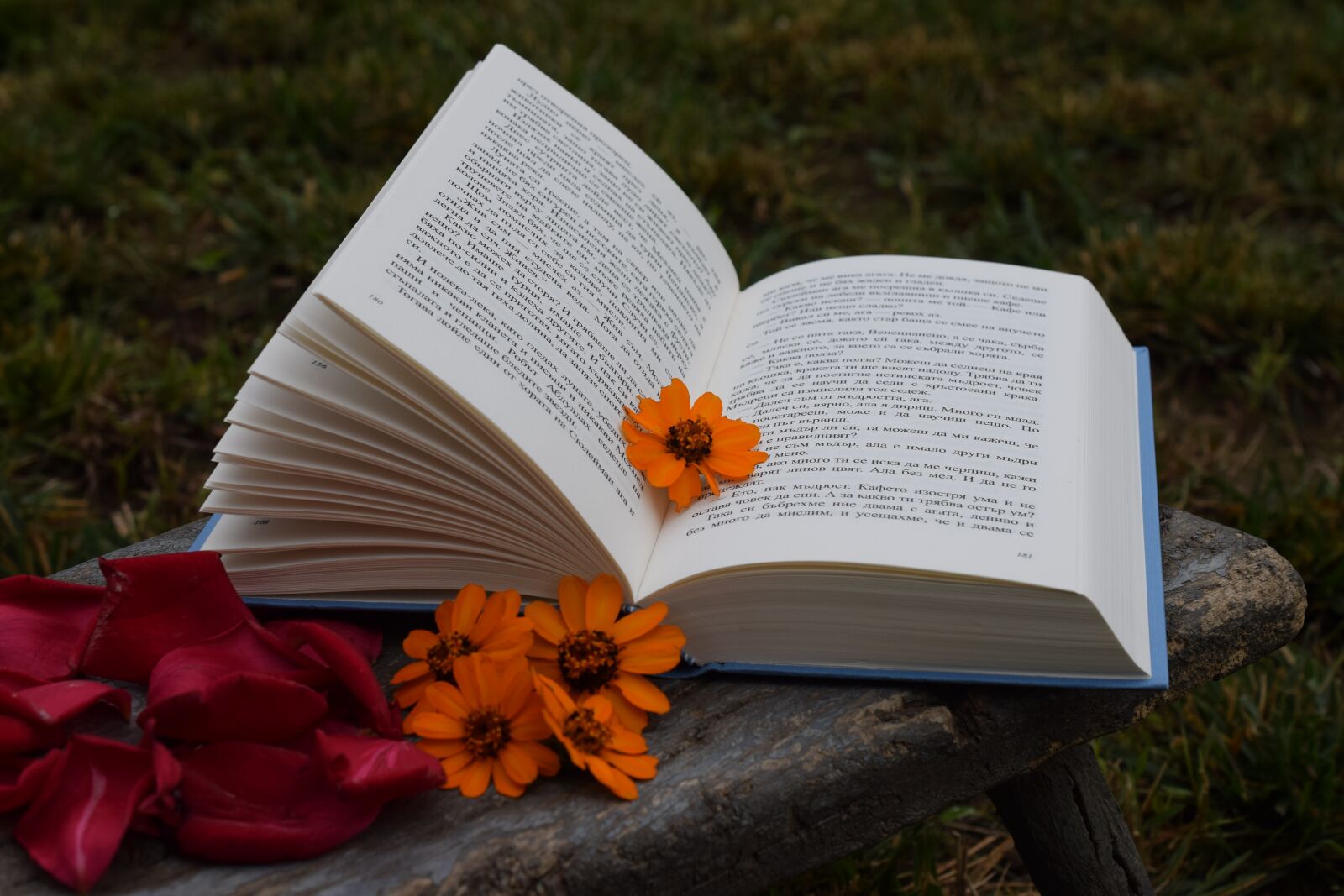 Nikon D5300 sample photo. Book, flowers, petals photography