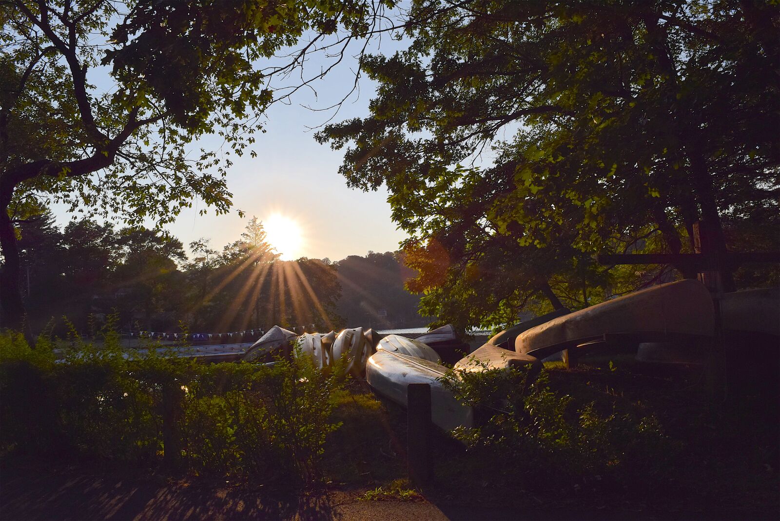 Nikon D3300 sample photo. Sunset, canoes, trees photography