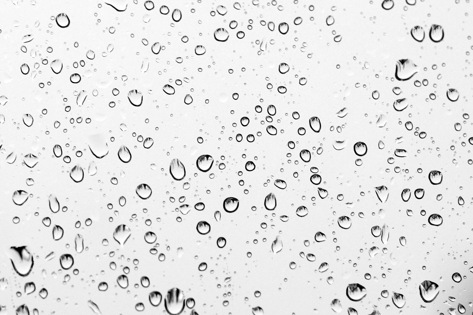 Canon EOS 77D (EOS 9000D / EOS 770D) sample photo. Rain, drip, rainy photography
