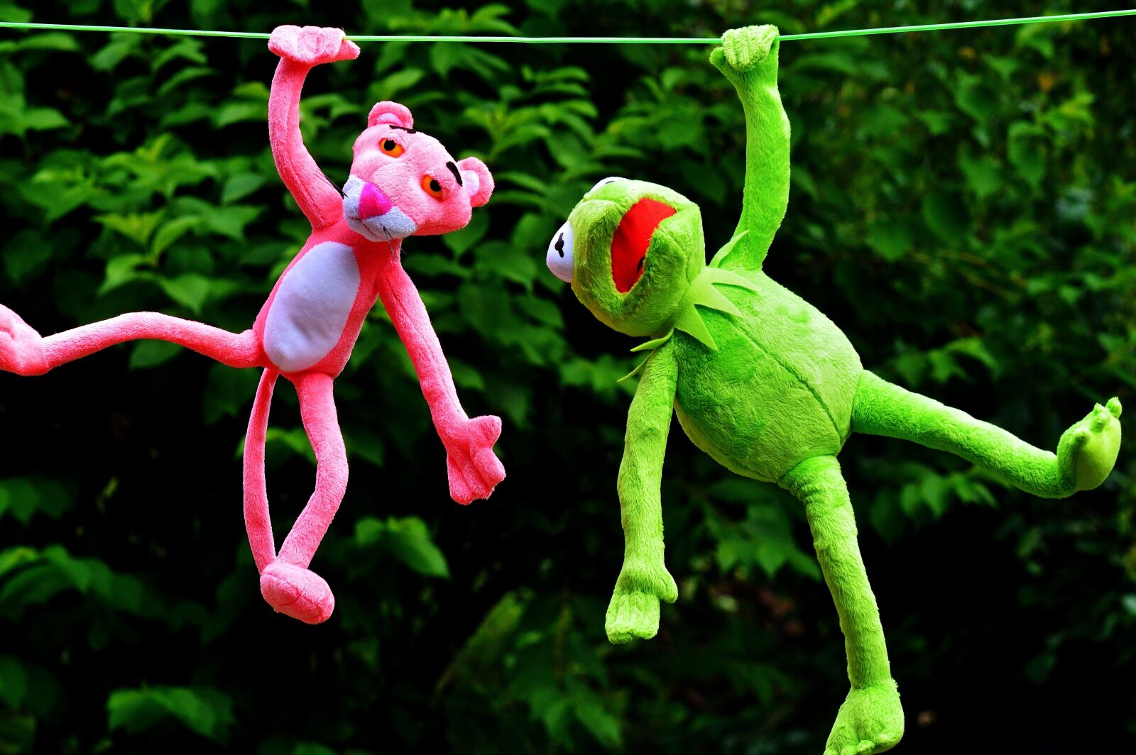 Nikon D3200 sample photo. Plush toys, kermit frog photography