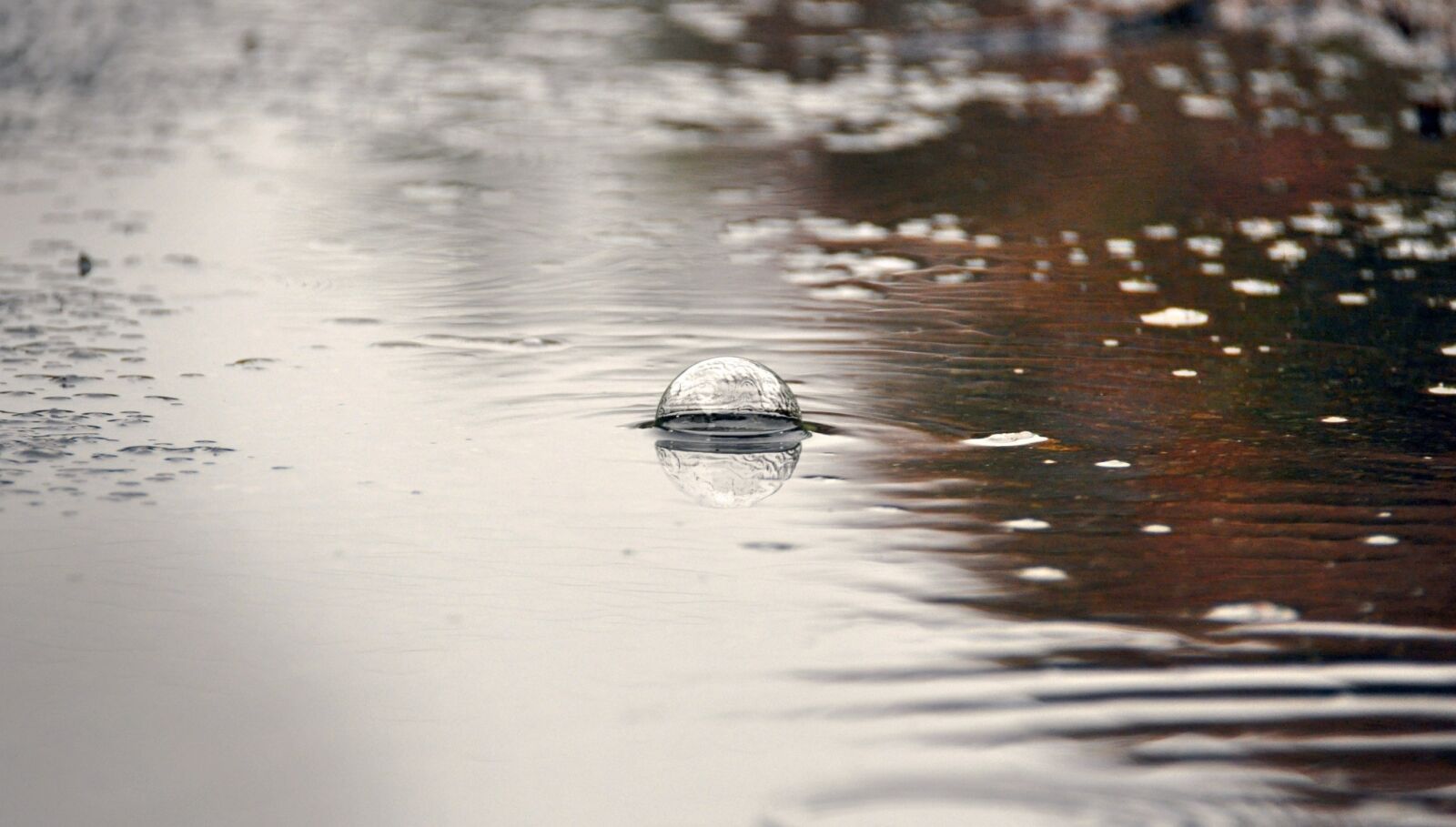 Nikon D90 sample photo. Bubble, water, nature photography