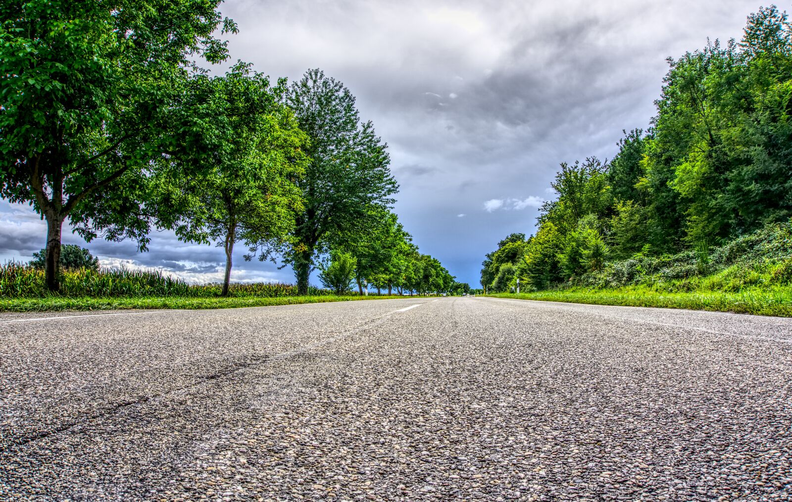 Sony a6000 sample photo. Road, asphalt, landscape photography