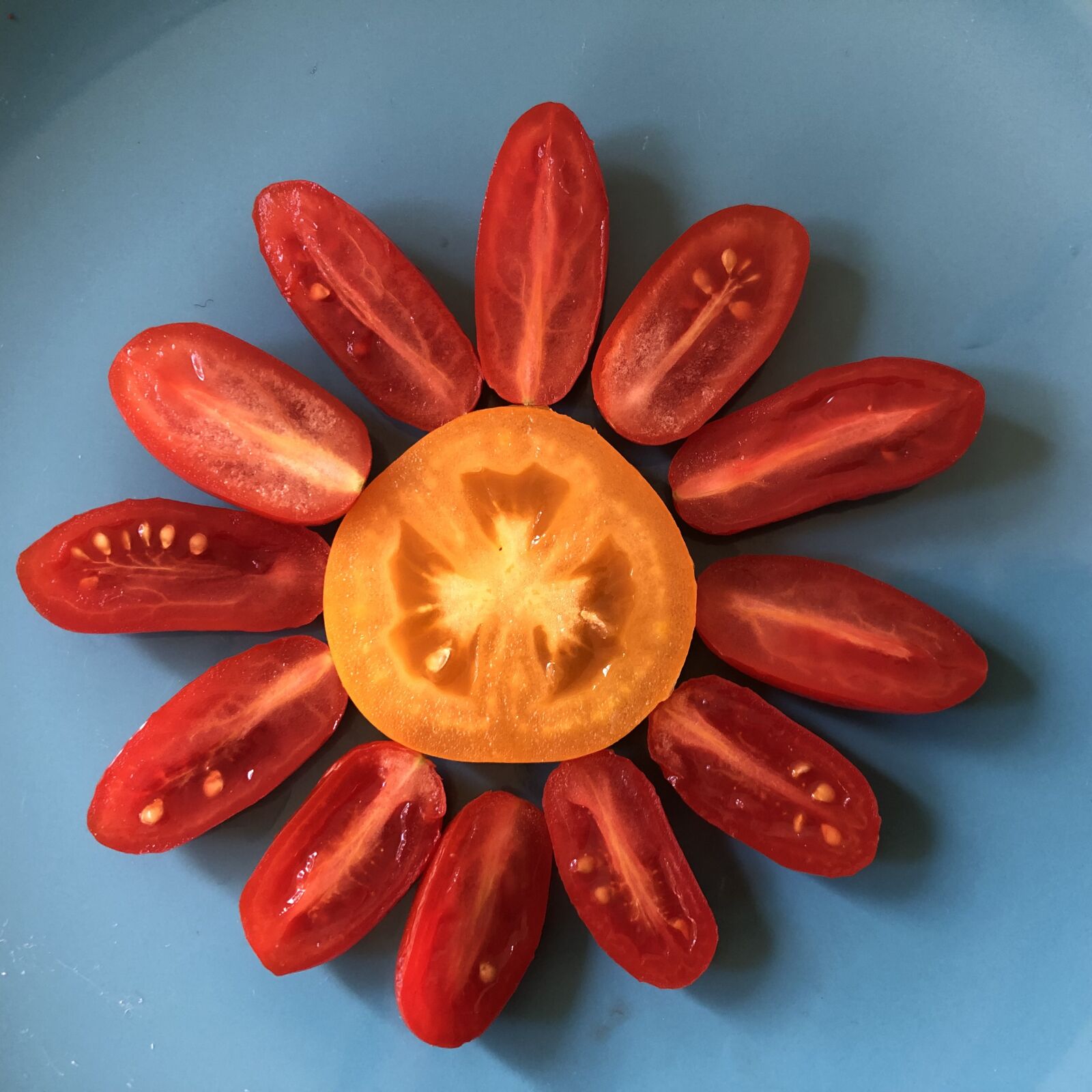 iPhone X back dual camera 4mm f/1.8 sample photo. Tomatoes, yellow tomato, roma photography