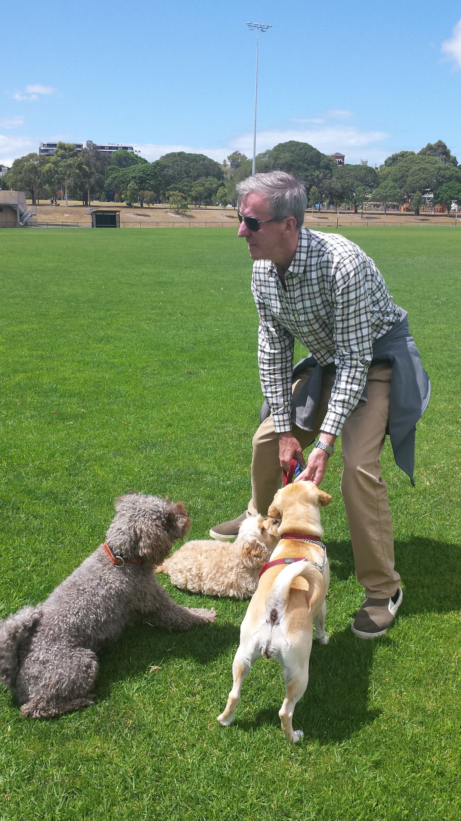 Samsung Galaxy S4 sample photo. Dogs, greg, hall photography