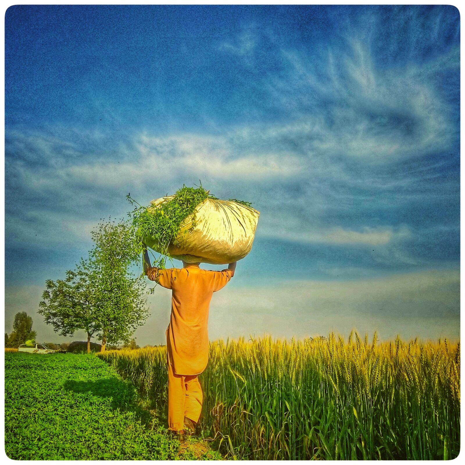 Xiaomi Redmi Note 4 sample photo. Fields, farmer work, sky photography