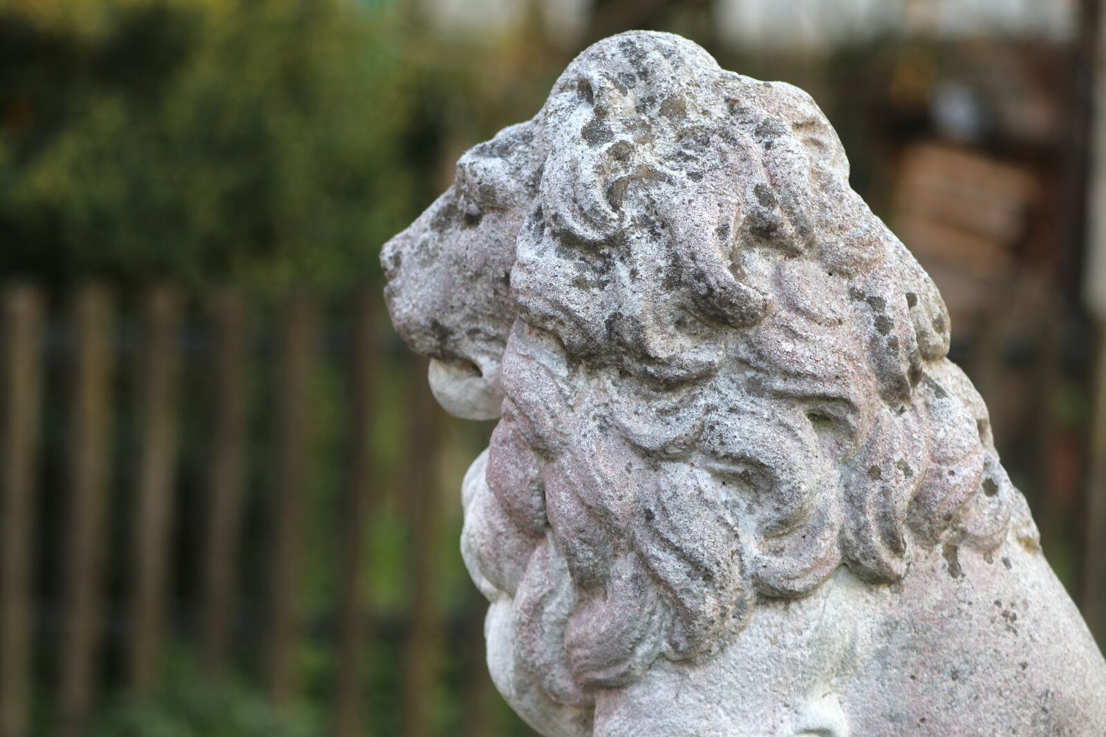 Canon EOS 80D sample photo. Lion, stone animal, stone photography