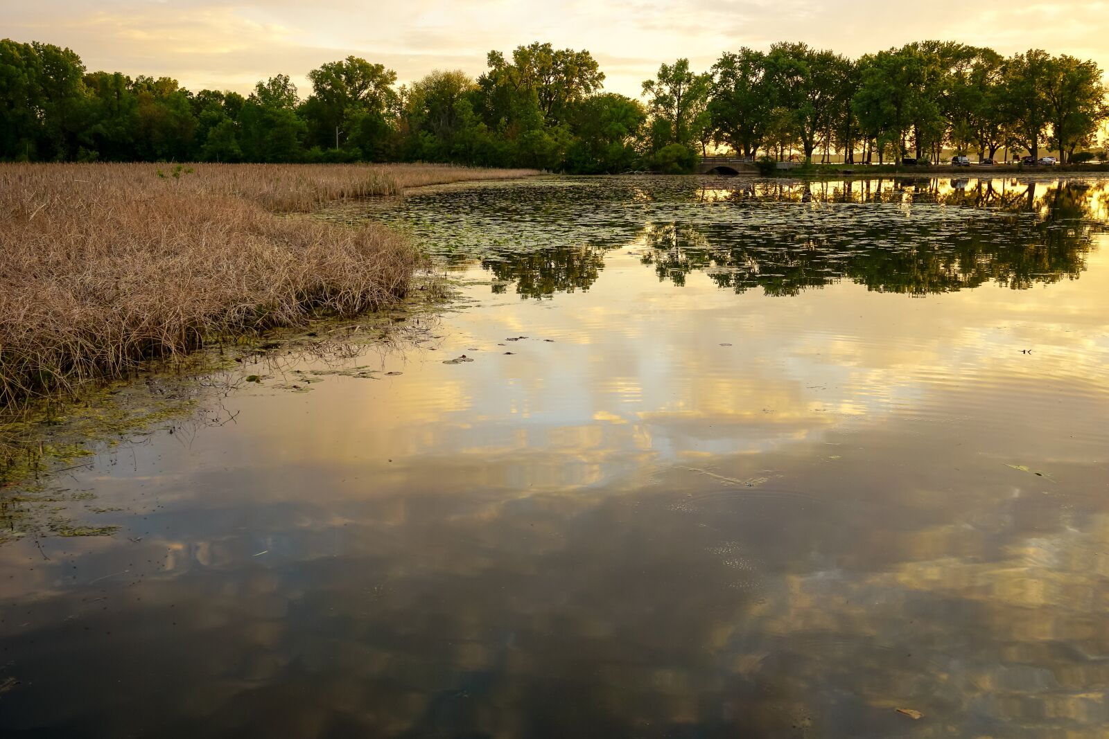 Sony a6000 sample photo. Nature, sunset, lake photography