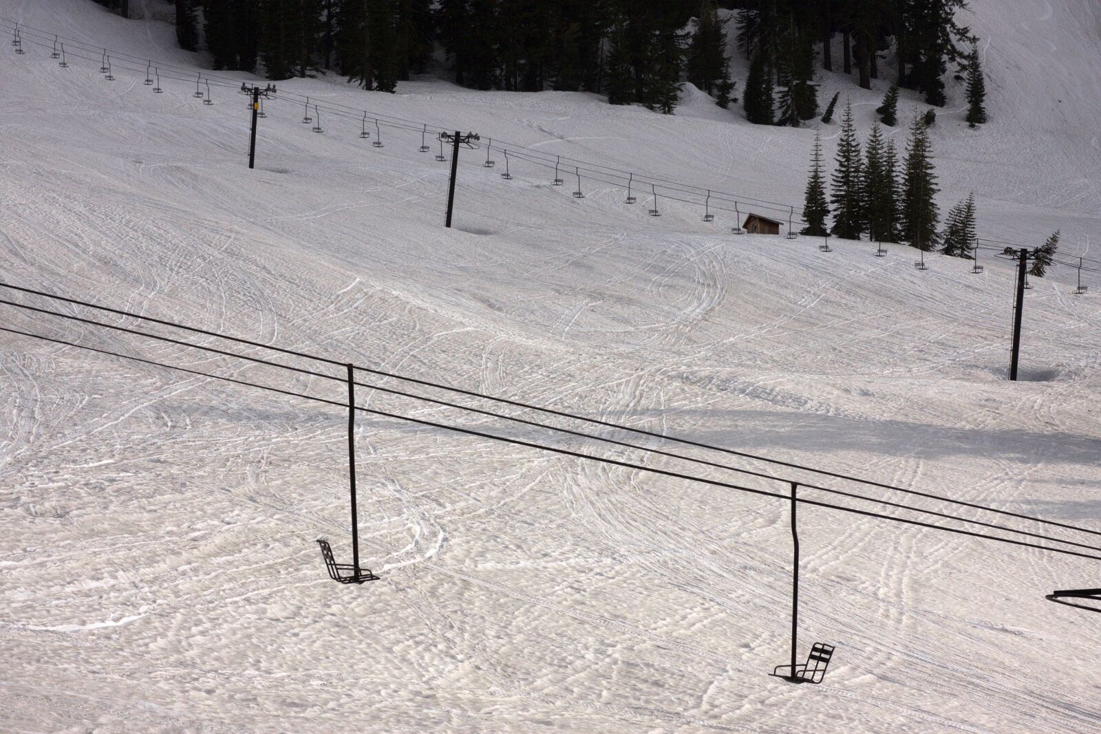 Canon EOS 40D sample photo. Snow, skiing, winter photography