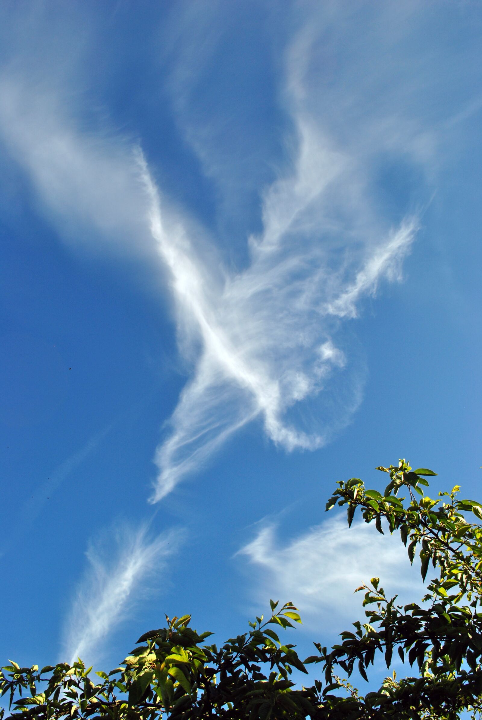 Nikon D3000 sample photo. Clouds, sky, vapour trails photography