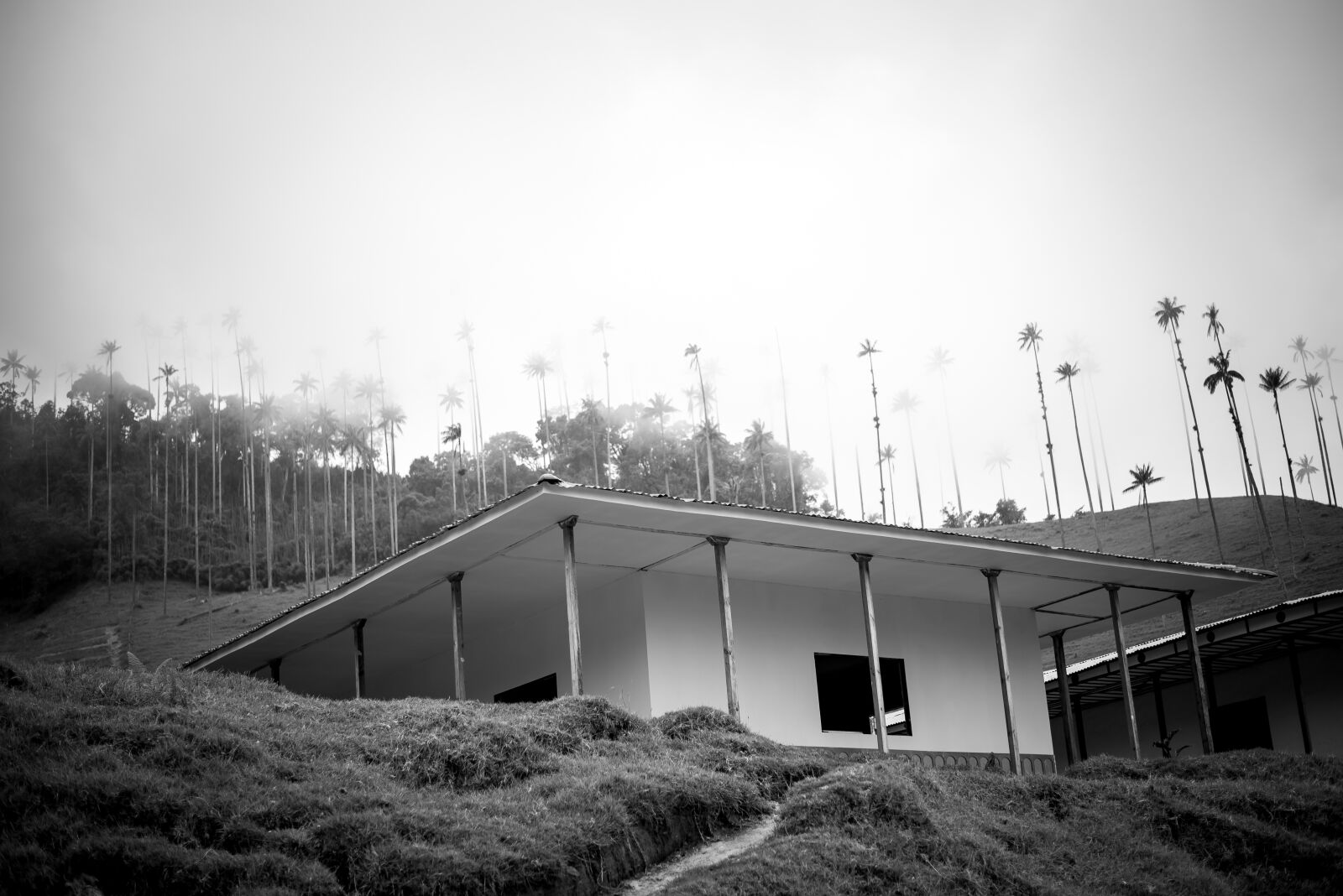 Nikon D610 sample photo. Cabin, black and white photography