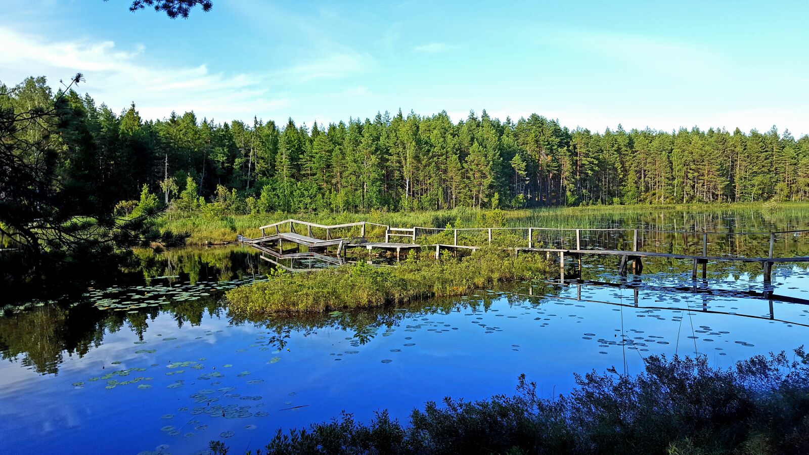 Samsung Galaxy S6 sample photo. Water, forest, lake photography