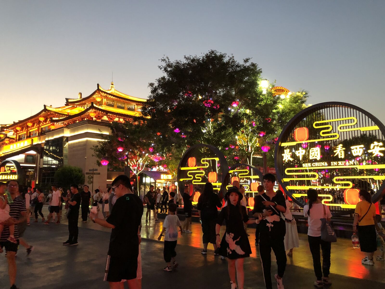iPhone X back dual camera 4mm f/1.8 sample photo