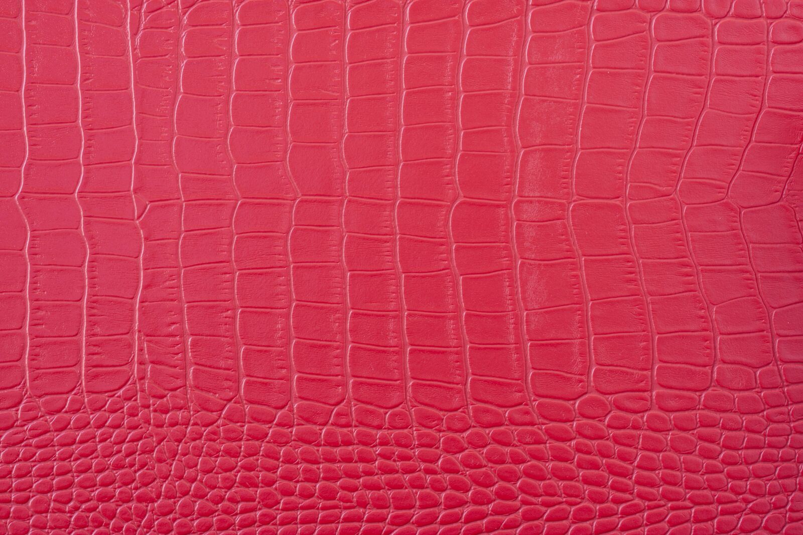 Canon EF-S 60mm F2.8 Macro USM sample photo. Red, skin, texture photography