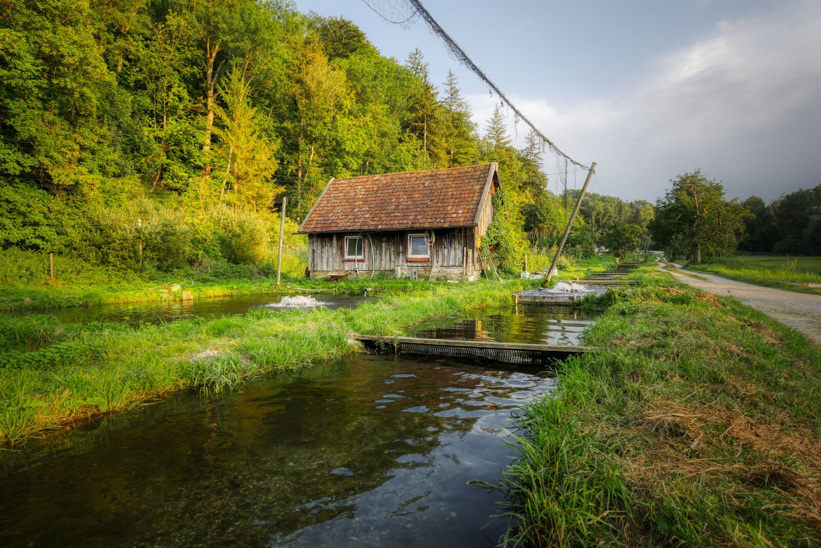 Panasonic Lumix DMC-GX8 sample photo. Fish farming, bach, trout photography