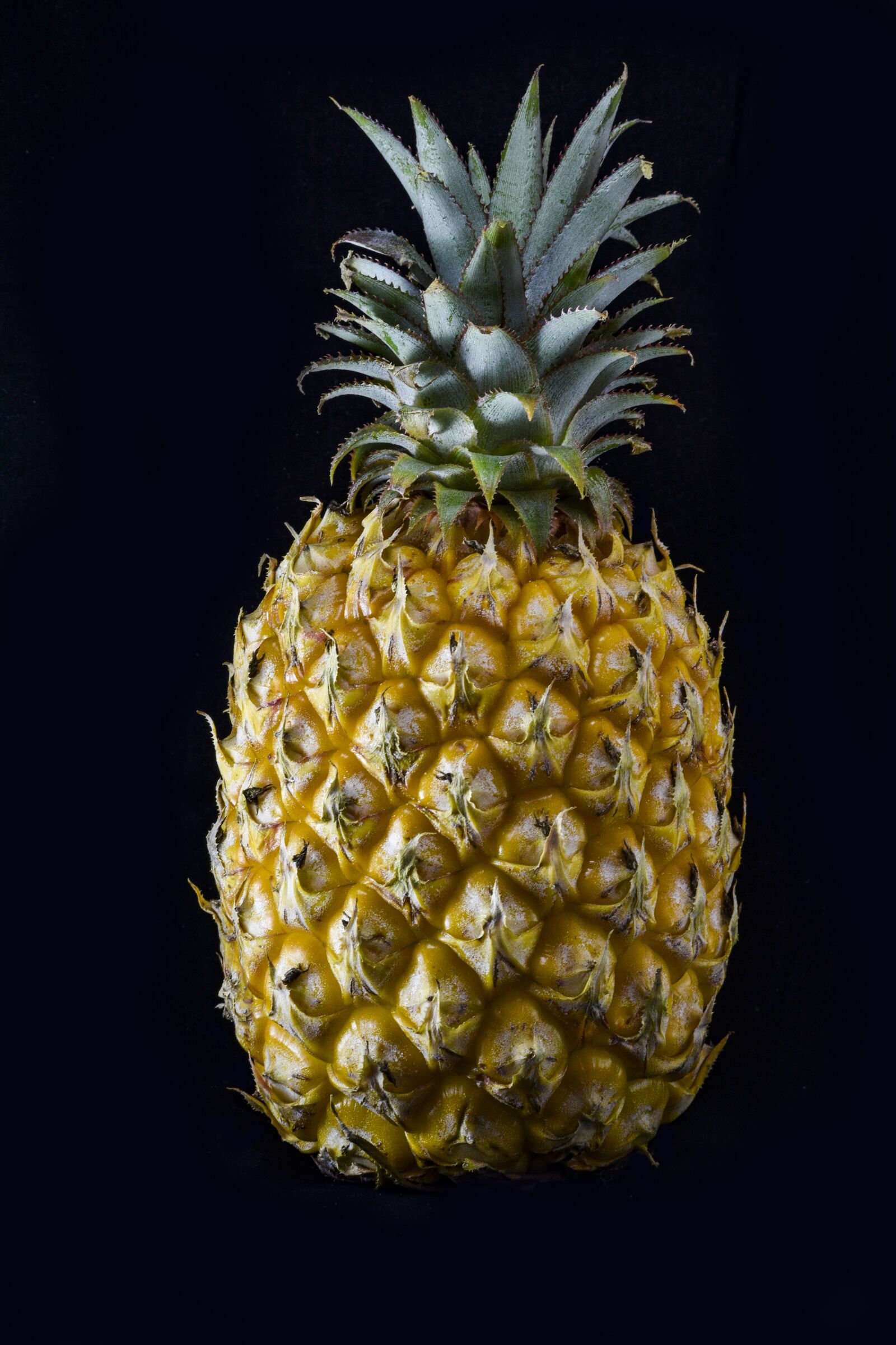 Nikon D3500 sample photo. Pineapple, fruit, fruits photography