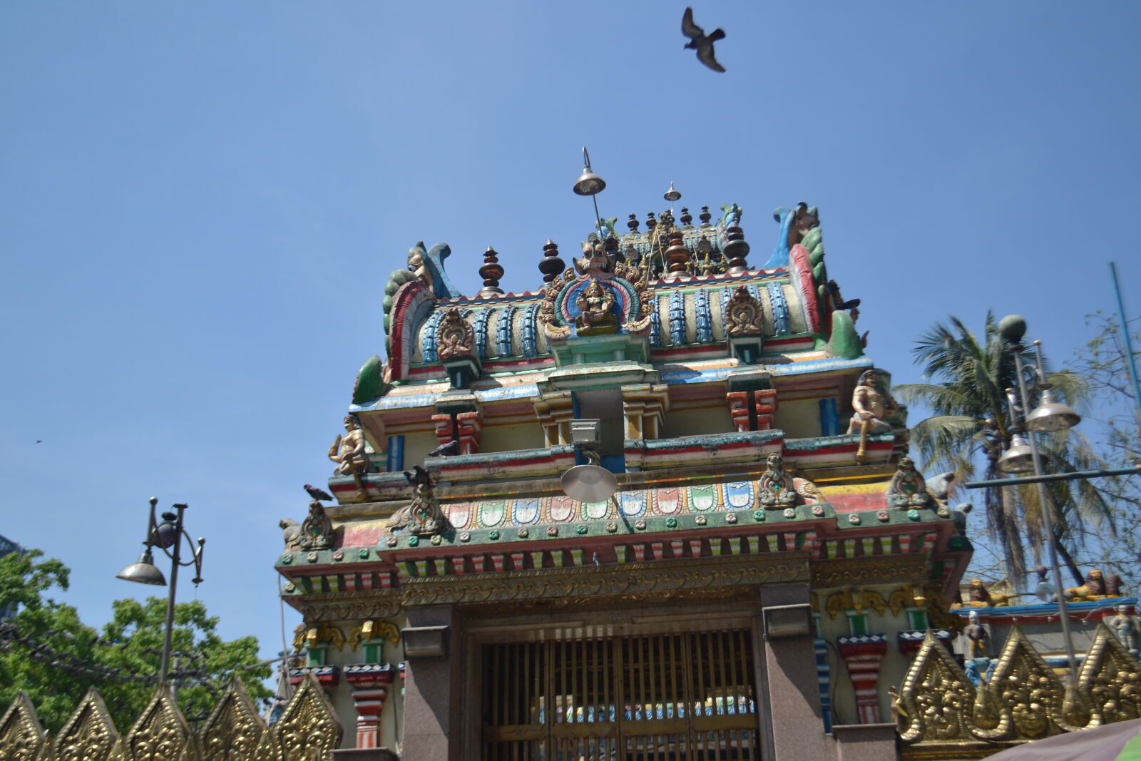 Nikon D3100 sample photo