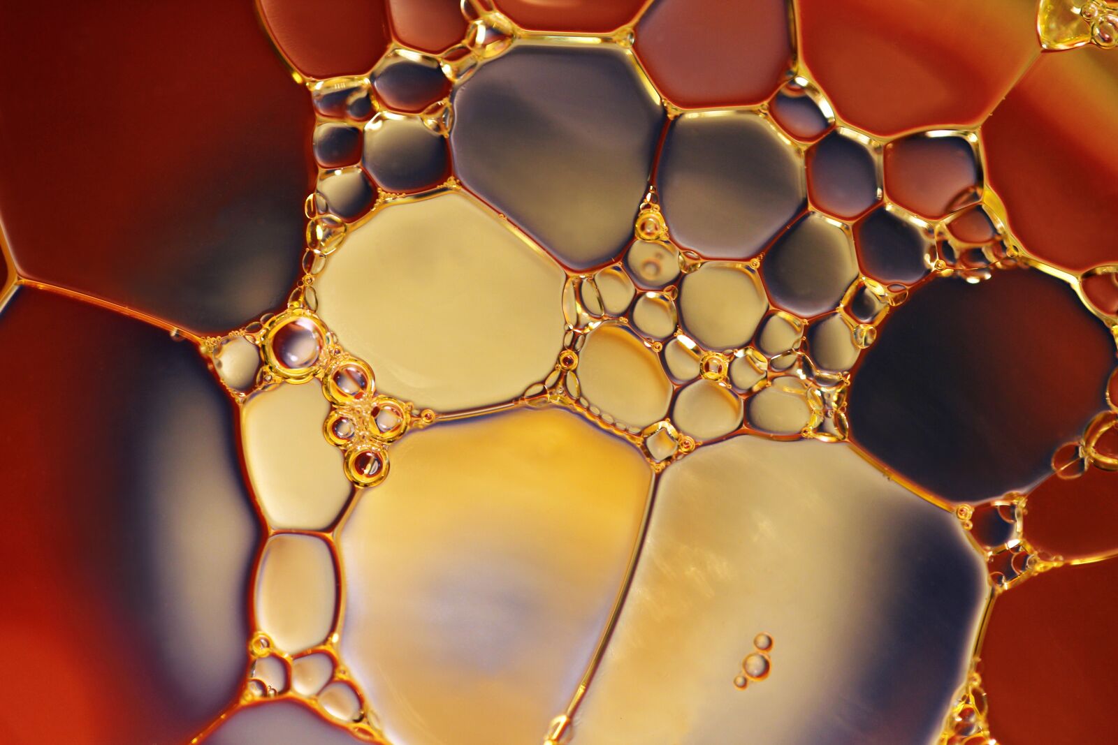 Canon EF-S 60mm F2.8 Macro USM sample photo. Abstract, oil, water photography
