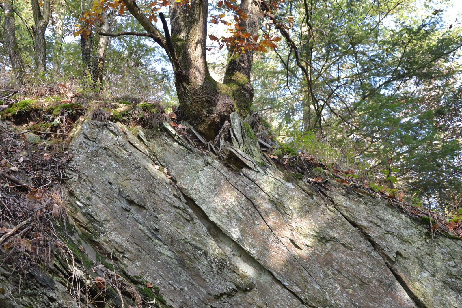 Nikon D3100 sample photo. Rheinisches-shale, eifel, forces of photography