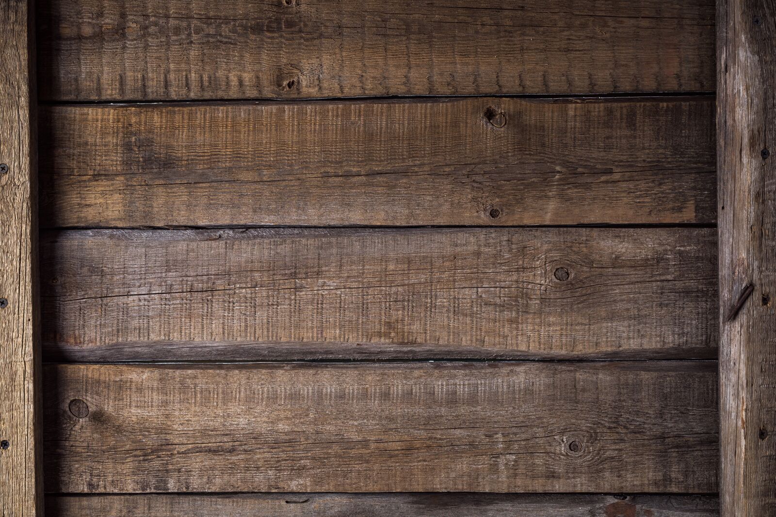 Canon EF 50mm F1.8 II sample photo. Tree, boards, background photography