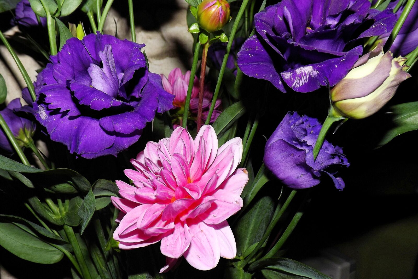 Fujifilm FinePix S4300 sample photo. Bouquet, flowers, blue photography