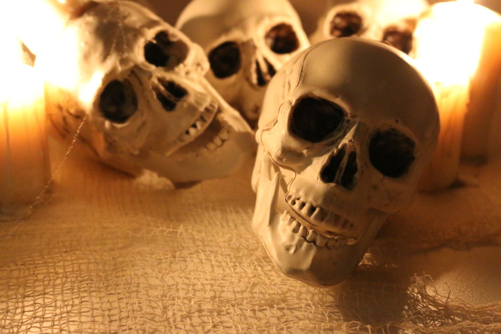 Canon EOS 70D sample photo. Skull, skulls, spidersweb photography