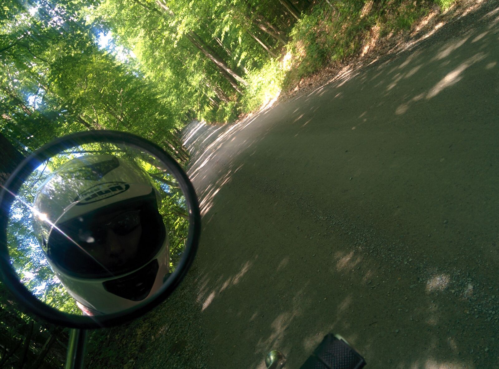 LG Nexus 5 sample photo. Forest, motorcycle photography