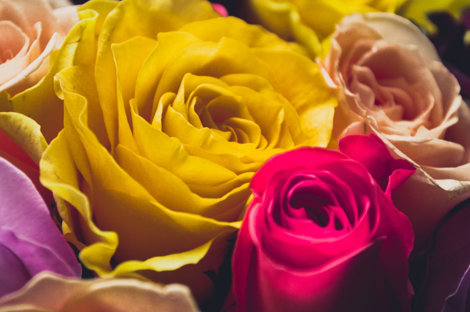 Nikon D3200 sample photo. Mother's day, a celebration photography