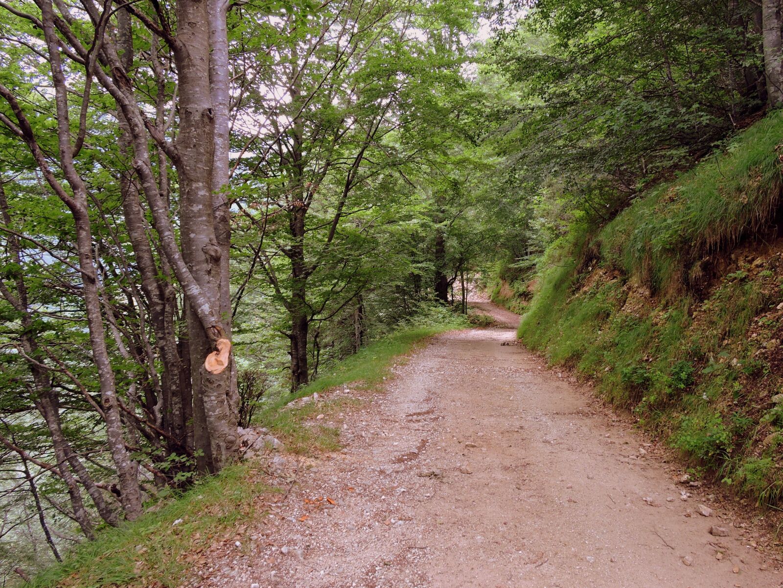 Nikon Coolpix P600 sample photo. Trail, hiking, mountain photography