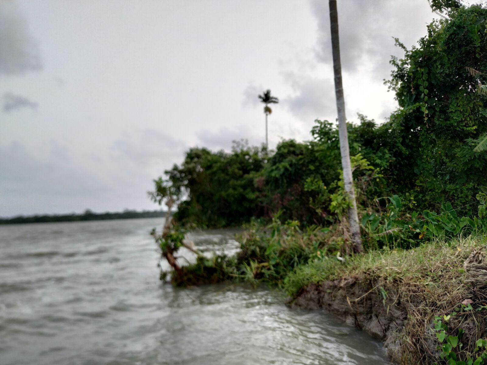 Xiaomi Mi A2 sample photo. River, bangladesh, nature photography